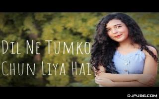 Dil Ne Tumko Chun Liya Hai (Female Cover) - Shreya Karmakar 192Kbps