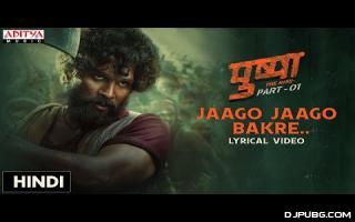 Jaago Jaago Bakre (Pushpa - The Rise) Vishal Dadhlani 320kbps