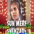 Sun Mere Shehzade (Reggae Mix Female Cover) Dj Ashik 320Kbps