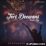 Teri Deewani (Lofi Flip)